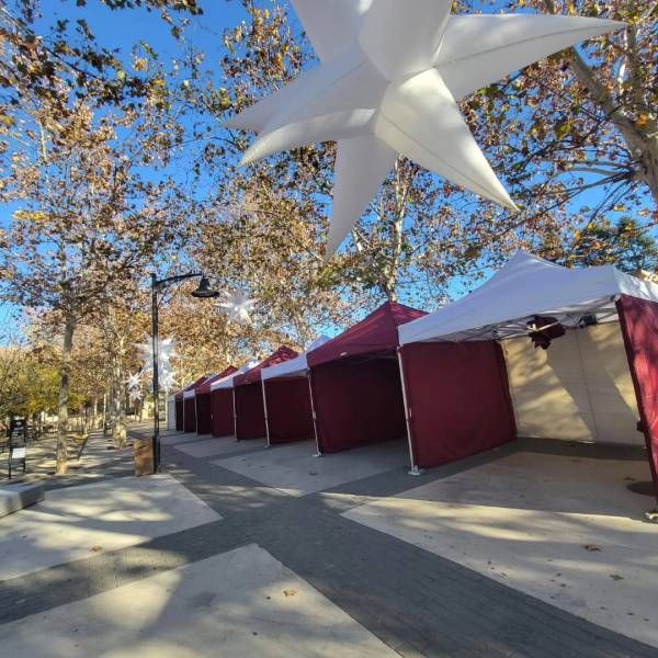 Carpa Plegable para bodas y eventos en alquiler