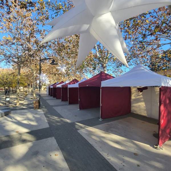 Carpa Plegable Alquiler para eventos